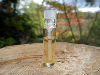 Pure Rose & Sandalwood Oil (1ml Sample)