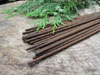 Absolute Cedarwood Incense