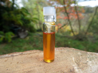 Golden Champa & Sandalwood Oil (1ml Sample)