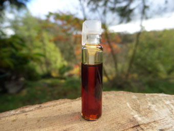 Jasmine Oil Perfume (1ml Sample)